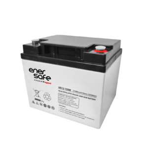 Batería Enersafe 12V/55Ah